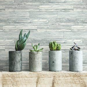 Natural Wood-Inspired Wallpapers