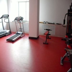Gym Sports Flooring